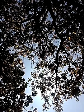 Snapshot of Rs_sonam chatting on March 7, 5:26 am Rs sonam online show from March 7, 5:26 am