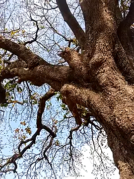 Snapshot of Rs_sonam chatting on April 4, 10:57 am Rs sonam online show from April 4, 10:57 am