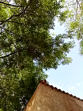 Snapshot of Rs_sonam chatting on April 8, 10:48 am Rs sonam online show from April 8, 10:48 am