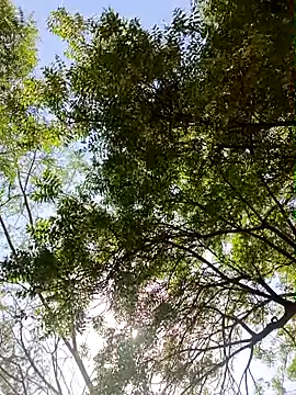 Snapshot of Rs_sonam chatting on April 13, 9:15 am Rs sonam online show from April 13, 9:15 am