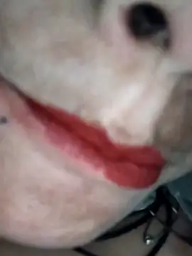 Na shreya online show from February 1, 3:21 pm