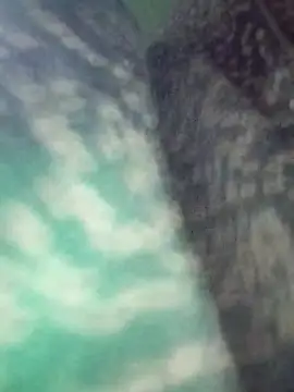 Na shreya online show from March 29, 12:21 am