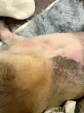 Beebeo00 online show from October 6, 3:53 pm