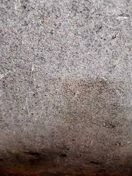 Snapshot of nagepalli chatting on November 14, 3:49 am nagepalli online show from November 14, 3:49 am