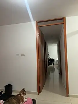 Snapshot of violeticafox chatting on December 21, 3:46 am violeticafox online show from December 21, 3:46 am