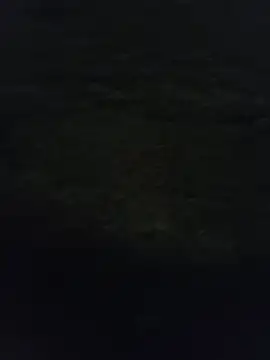 Roberto27051 online show from June 14, 7:38 pm