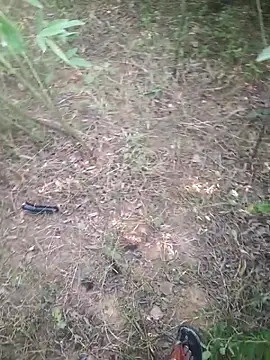 Aadityaaa07 online show from November 11, 5:40 am