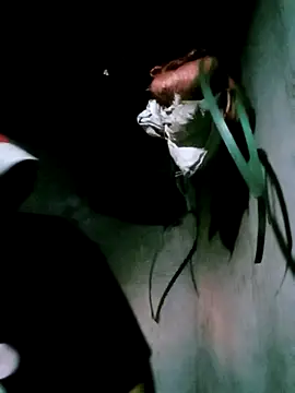 bae-bae online show from November 6, 11:22 am