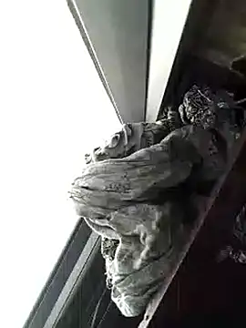 Snapshot of amanWildstalion chatting on November 8, 7:19 am amanWildstalion online show from November 8, 7:19 am