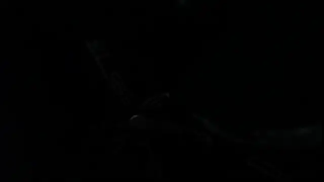 Snapshot of SteveDickson_ chatting on October 14, 9:15 pm SteveDickson online show from October 14, 9:15 pm