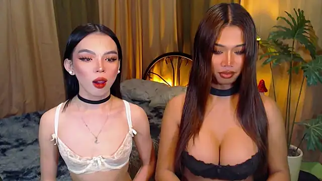 TWINKTRANSSHANEL online show from October 8, 4:32 am