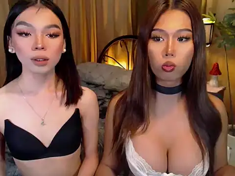 TWINKTRANSSHANEL online show from October 9, 4:21 am