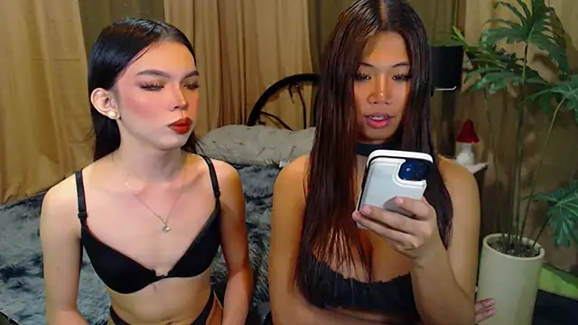 TWINKTRANSSHANEL online show from October 12, 4:33 am