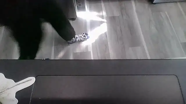 Snapshot of october1992xx chatting on November 9, 4:38 pm october1992xx online show from November 9, 4:38 pm