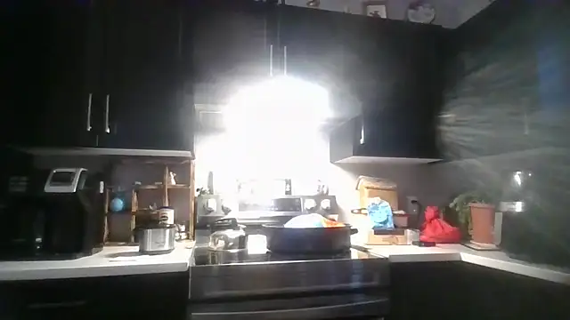 Snapshot of october1992xx chatting on December 14, 8:46 pm october1992xx online show from December 14, 8:46 pm