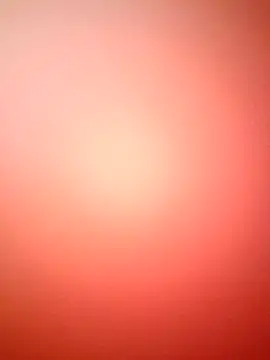 marcojans online show from December 2, 3:51 pm