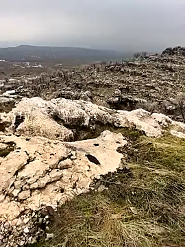 Sert erkek21 ysm online show from February 2, 10:03 am