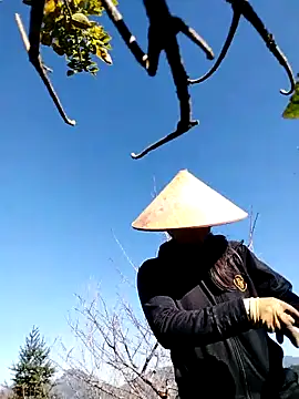 sumaybae online show from November 30, 2:37 am