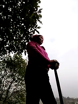 sumaybae online show from December 5, 8:23 am