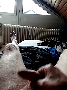 Snapshot of ImperlPerverso59 chatting on October 7, 12:24 pm ImperlPerverso59 online show from October 7, 12:24 pm