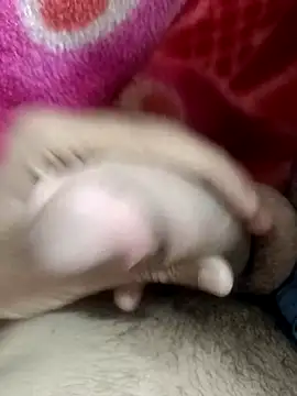 Snapshot of pn12345 chatting on November 9, 5:44 pm pn12345 online show from November 9, 5:44 pm