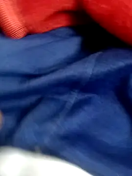 Snapshot of pn12345 chatting on November 11, 3:56 pm pn12345 online show from November 11, 3:56 pm