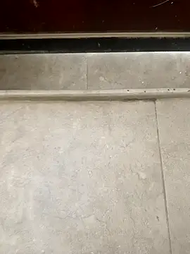 Snapshot of pn12345 chatting on December 1, 5:12 am pn12345 online show from December 1, 5:12 am