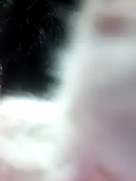 anjali2351 online show from February 10, 2:21 pm