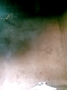 Snapshot of Ducky27021991 chatting on December 17, 6:41 am Ducky27021991 online show from December 17, 6:41 am