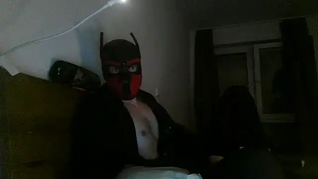 MolleDolle online show from December 3, 10:52 pm