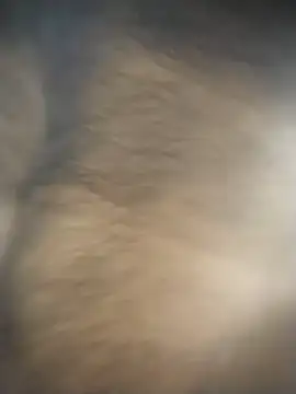 SL BEAR online show from December 4, 1:48 am