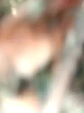 Rt shreya online show from November 27, 5:31 am