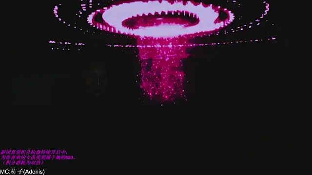 World-flower online show from November 14, 3:11 pm