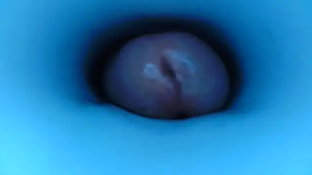 Snapshot of pedrolatino20cm chatting on December 15, 2:21 pm pedrolatino20cm online show from December 15, 2:21 pm