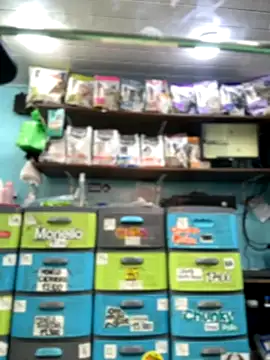 Snapshot of Lucy_699 chatting on November 16, 7:41 pm Lucy 699 online show from November 16, 7:41 pm