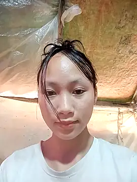 Snapshot of minachao- chatting on November 19, 3:17 am minachao- online show from November 19, 3:17 am