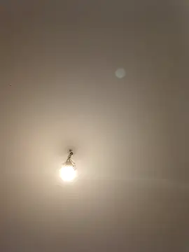 labellerose online show from April 28, 5:07 pm