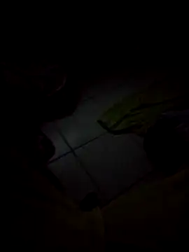 shyguy8569 online show from November 18, 4:39 am