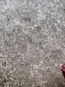 play boy-raj007 online show from November 2, 10:17 am