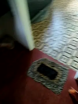 Shanudri77 online show from November 5, 5:40 am