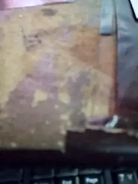 Bosy Arab online show from November 25, 9:48 pm