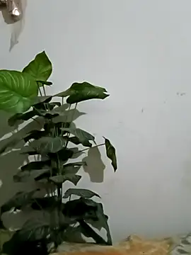 Jessica-03 online show from March 5, 6:04 pm