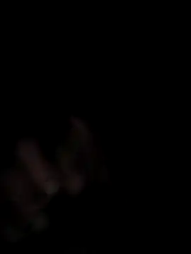 Kiotes online show from December 21, 7:48 am