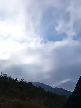 siusiu-00 online show from November 22, 8:24 am