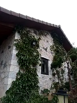 siusiu-00 online show from April 1, 8:26 am