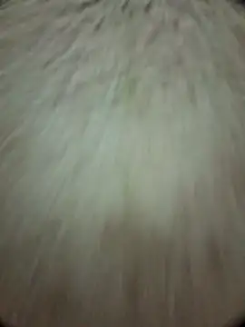 Snapshot of torresflow99nais chatting on November 25, 11:32 am torresflow99nais online show from November 25, 11:32 am