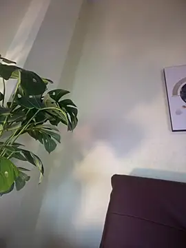 Snapshot of NovaFoxx chatting on February 15, 1:52 pm NovaFoxx online show from February 15, 1:52 pm