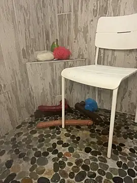 Snapshot of queenkelly1234 chatting on November 3, 8:54 pm queenkelly1234 online show from November 3, 8:54 pm