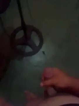 rgsnakan online show from October 18, 3:09 am