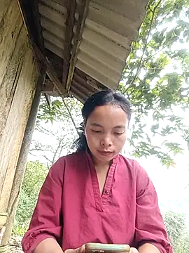 Snapshot of Nguyet2k4 chatting on November 24, 1:49 am Nguyet2k4 online show from November 24, 1:49 am